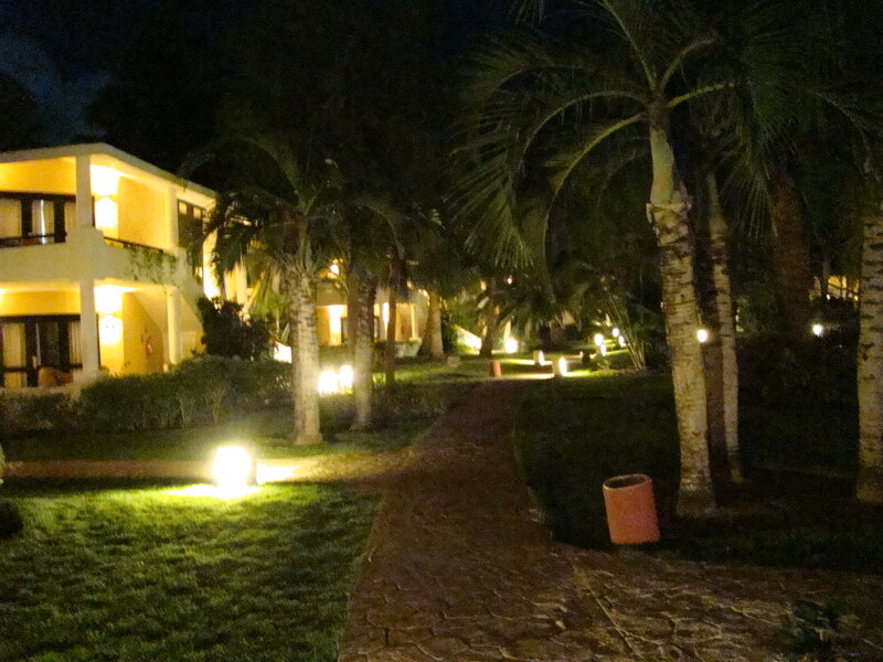 Palm Trees at Night — Green