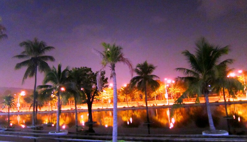 Palm Trees at Night — Purple, Calm