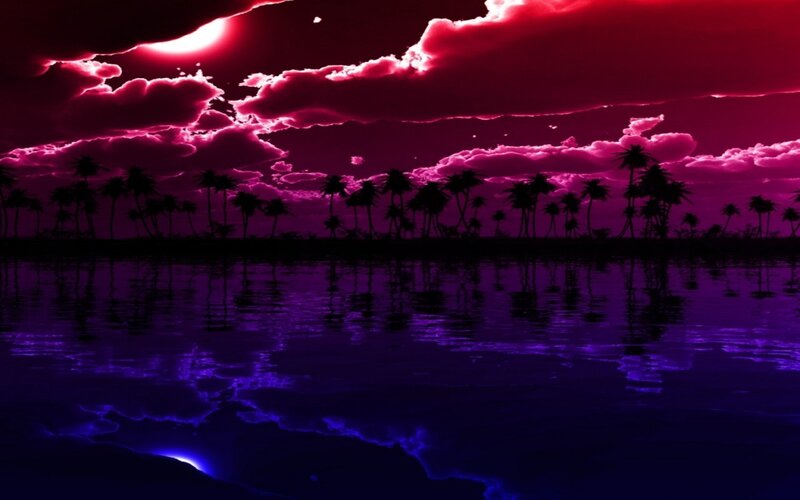 Palm Trees at Night — Purple