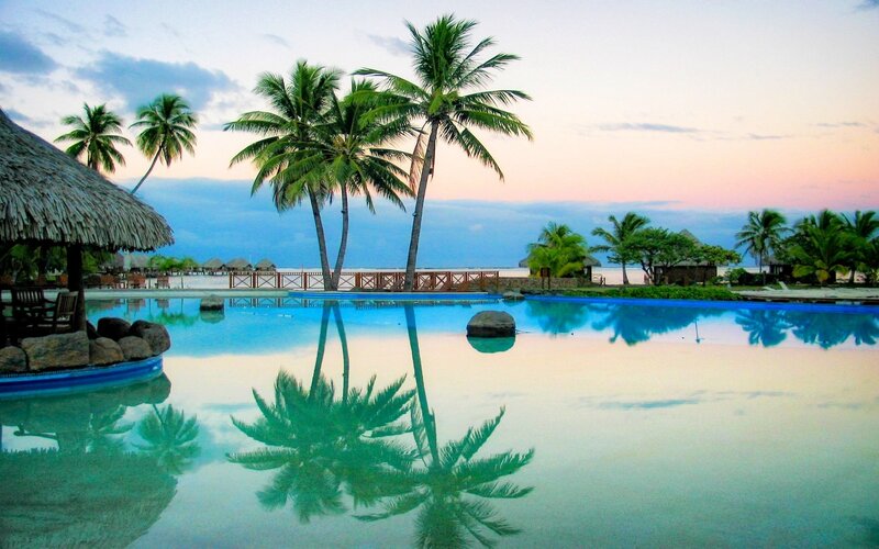 Palm Trees at Pool
