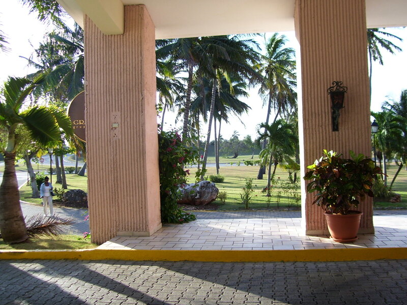 Palm trees at resort entrance