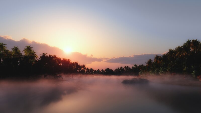 Palm Trees at Sunrise — Orange, Serene