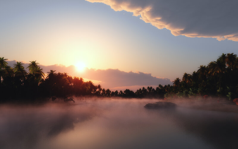 Palm Trees at Sunrise — Orange