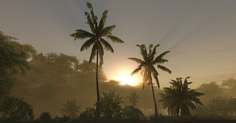 Palm Trees at Sunrise — Yellow
