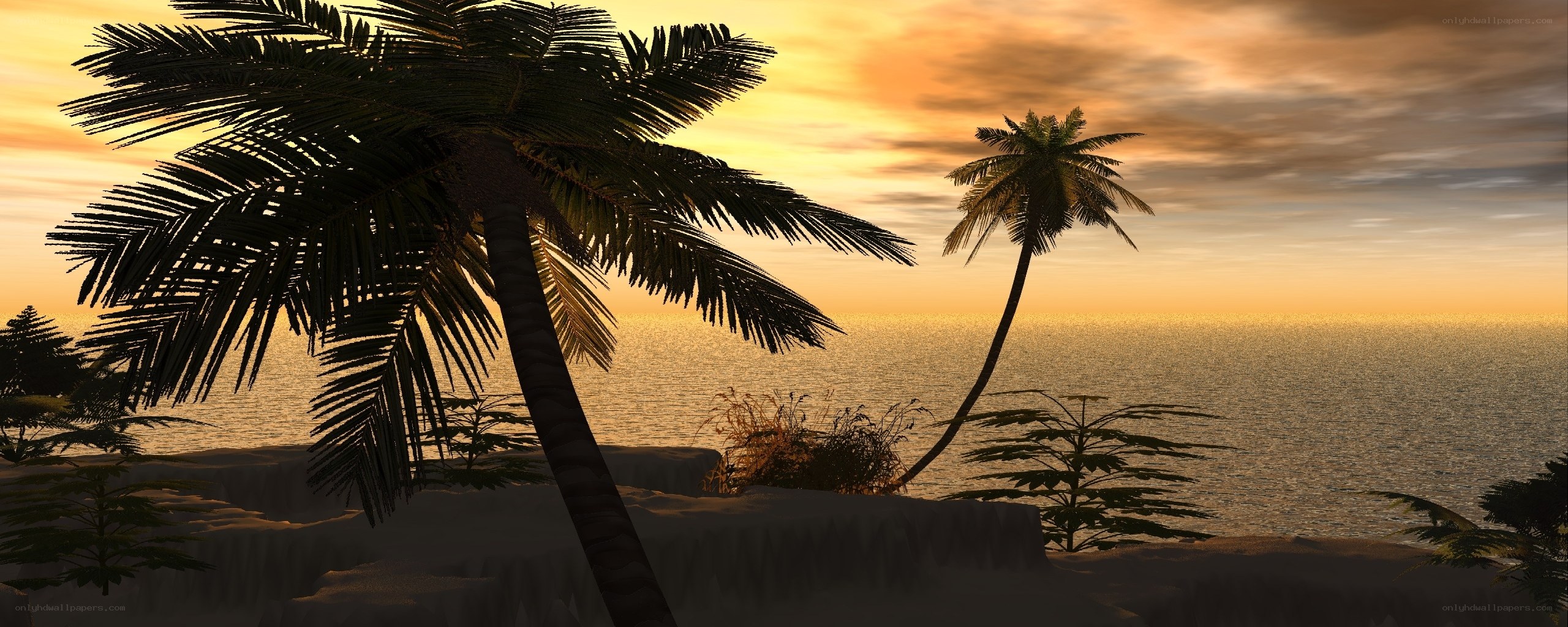 Palm trees at sunset