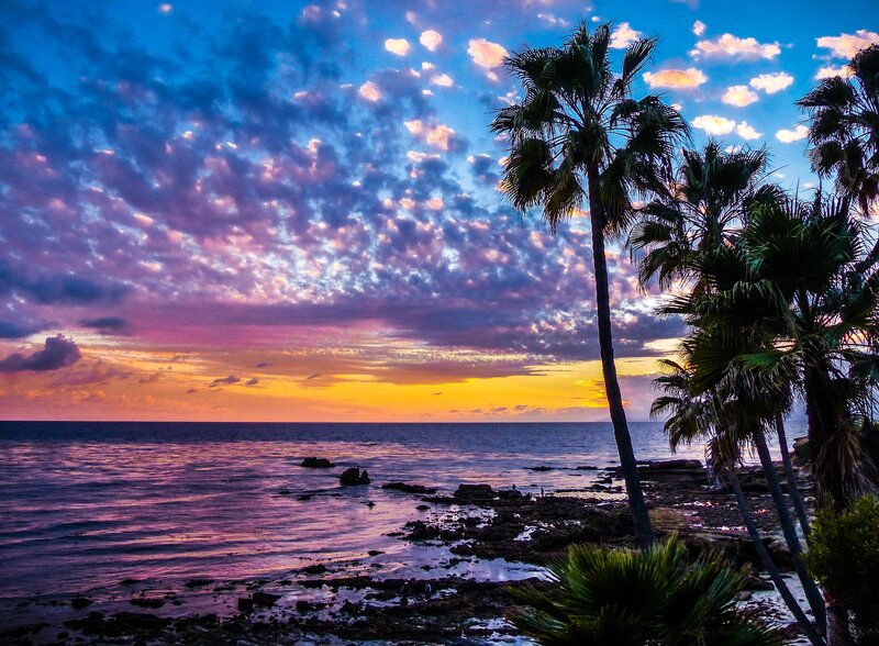 Palm Trees at Sunset — Blue, Dramatic, Photograph, Ocean, Clouds