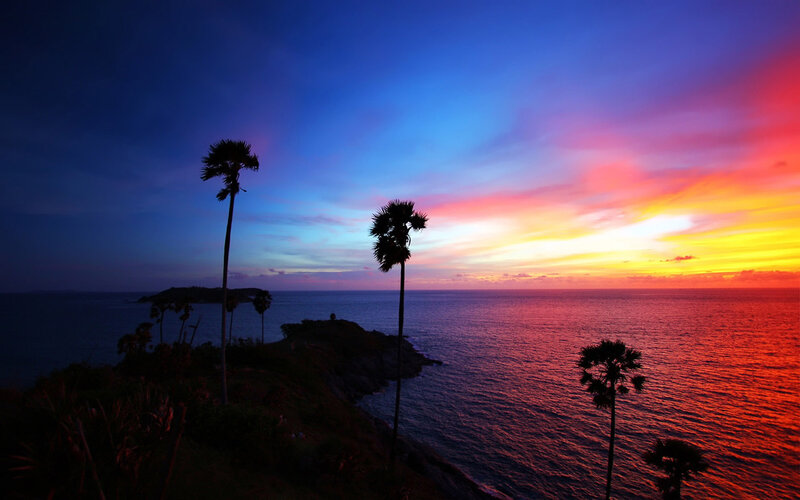 Palm Trees at Sunset — Blue, Dramatic, Photograph, Ocean, Sky, Cliff