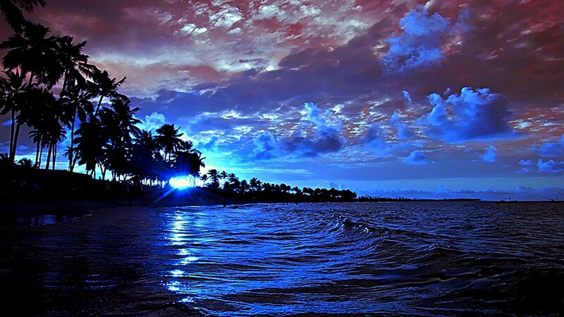Palm Trees at Sunset — Blue, Dramatic, Photograph, Ocean, Sky, Clouds