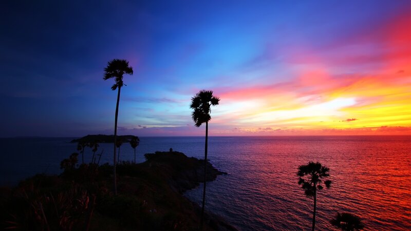 Palm Trees at Sunset — Blue, Dramatic, Photograph, Ocean, Sky