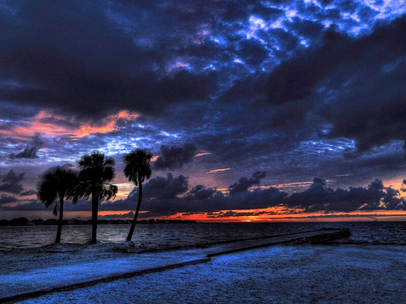 Palm Trees at Sunset — Blue, Dramatic, Photograph, Ocean