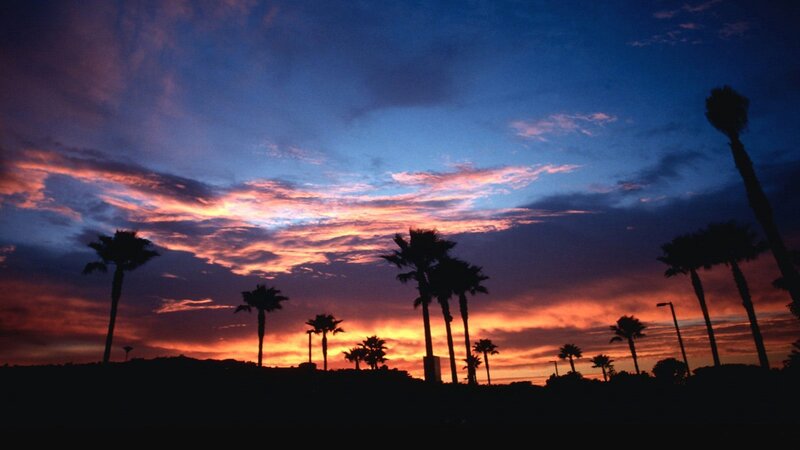 Palm Trees at Sunset — Blue, Dramatic, Photograph, Sky, Clouds