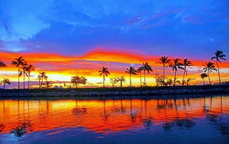 Palm Trees at Sunset — Blue, Dramatic, Photograph, Sky