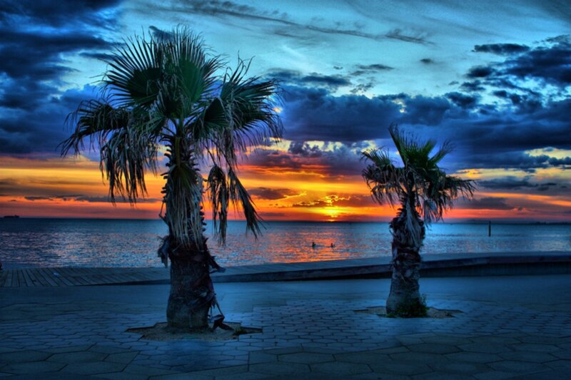 Palm Trees at Sunset — Blue, Dramatic