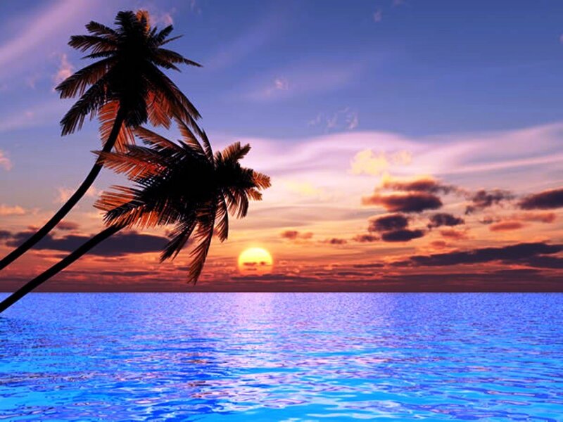Palm Trees at Sunset — Blue, Serene, Digital Art