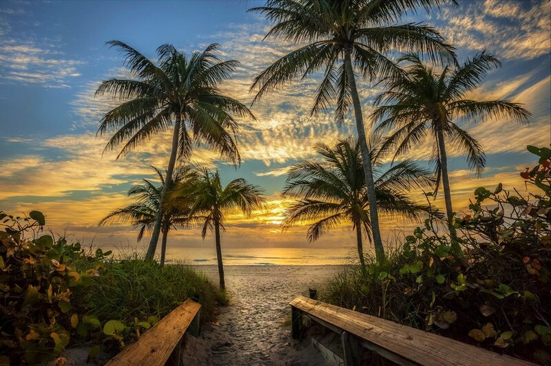 Palm Trees at Sunset — Blue, Serene, Photograph, Beach