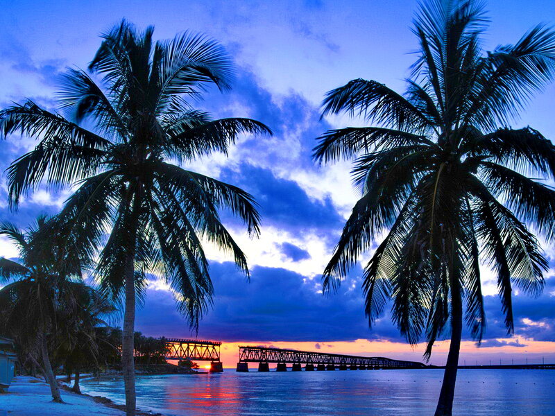 Palm Trees at Sunset — Blue, Serene, Photograph, Bridge