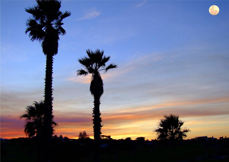 Palm Trees at Sunset — Blue, Serene, Photograph, Moon