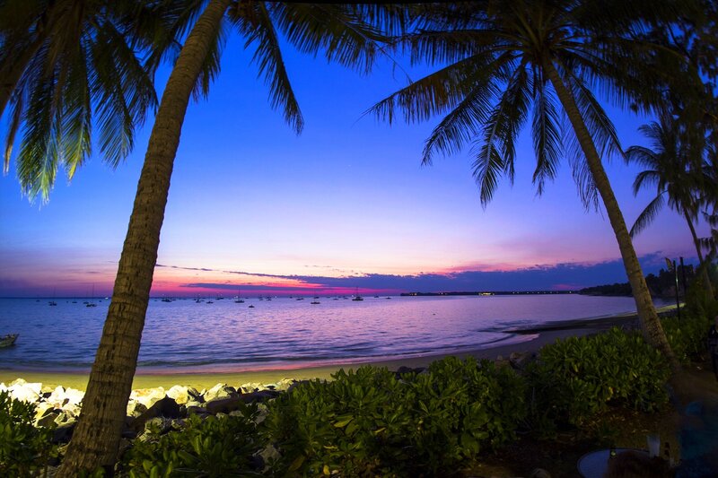 Palm Trees at Sunset — Blue, Serene, Photograph, Ocean, Boats