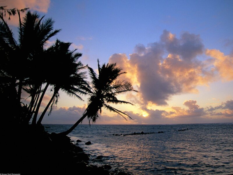 Palm Trees at Sunset — Blue, Serene, Photograph, Ocean, Clouds, Sky