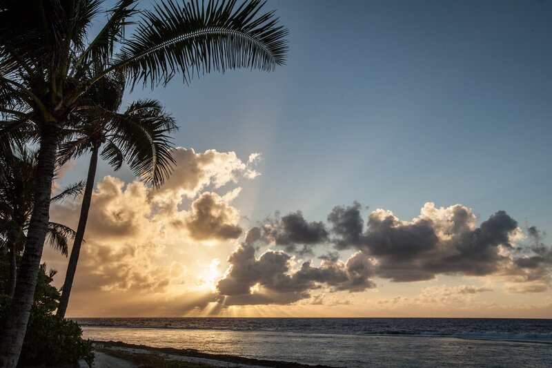 Palm Trees at Sunset — Blue, Serene, Photograph, Ocean, Clouds