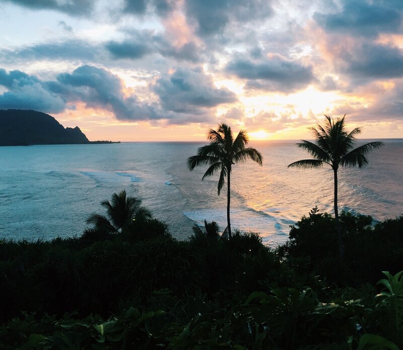 Palm Trees at Sunset — Blue, Serene, Photograph, Ocean, Mountain