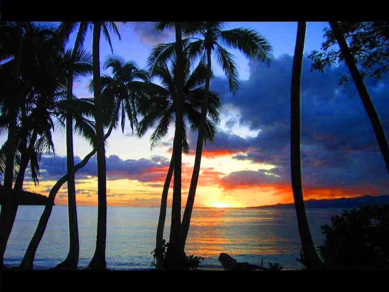 Palm Trees at Sunset — Blue, Serene, Photograph, Ocean, Sky, Clouds, Orange