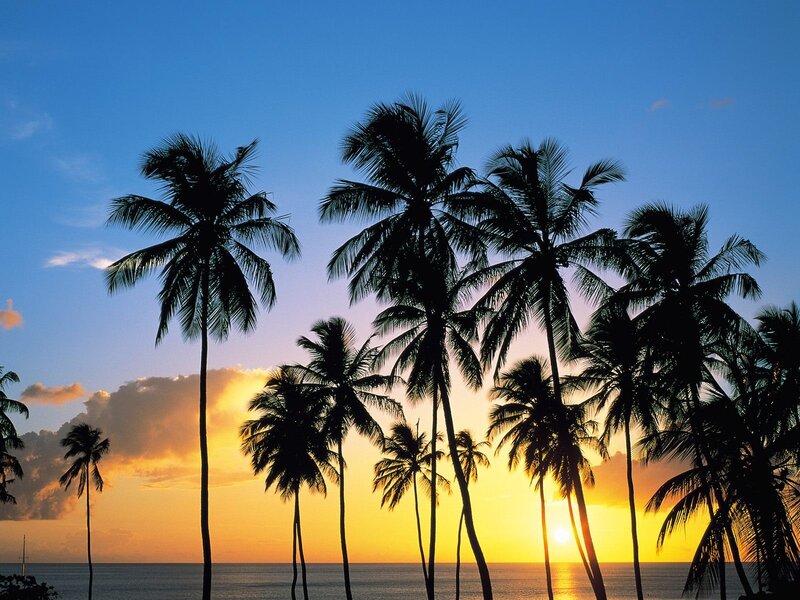 Palm Trees at Sunset — Blue, Serene, Photograph, Ocean, Sky, Clouds