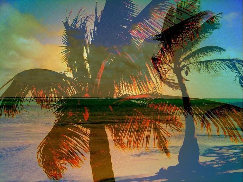 Palm Trees at Sunset — Blue, Serene, Photograph, Ocean, Sky, Reflection, Orange