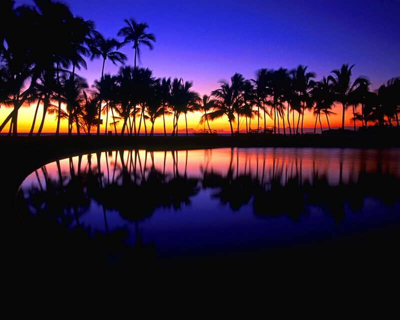Palm Trees at Sunset — Blue, Serene, Photograph, Ocean, Sky, Reflection