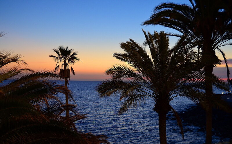 Palm Trees at Sunset — Blue, Serene, Photograph, Ocean, Sky, Silhouette