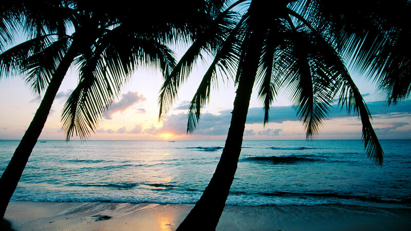 Palm Trees at Sunset — Blue, Serene, Photograph, Ocean, Sky