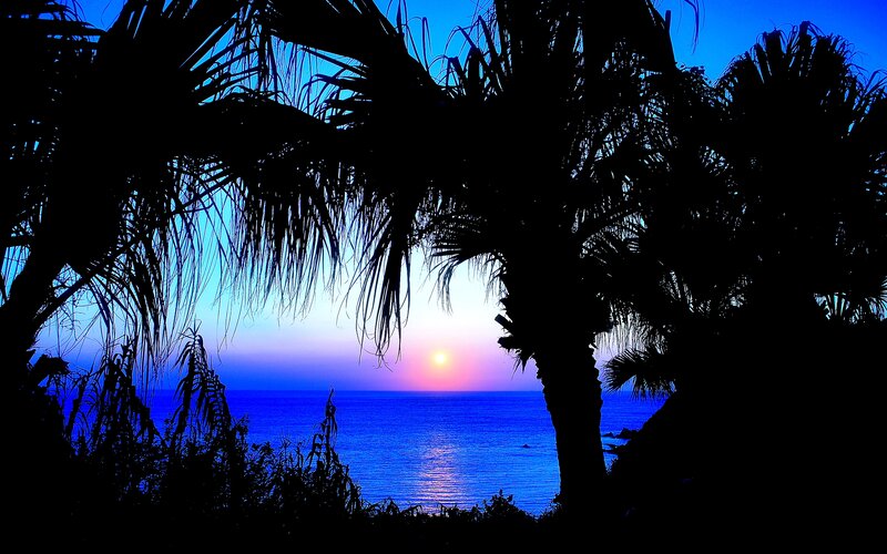 Palm Trees at Sunset — Blue, Serene, Photograph, Ocean, Sun