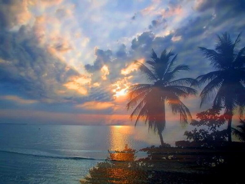 Palm Trees at Sunset — Blue, Serene, Photograph, Ocean