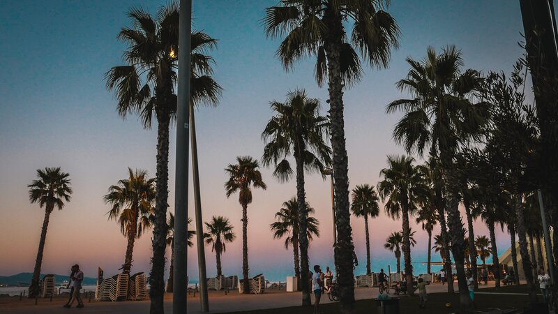Palm Trees at Sunset — Blue, Serene, Photograph, People