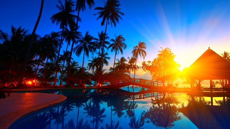 Palm Trees at Sunset — Blue, Serene, Photograph, Pool, Bridge, Hut
