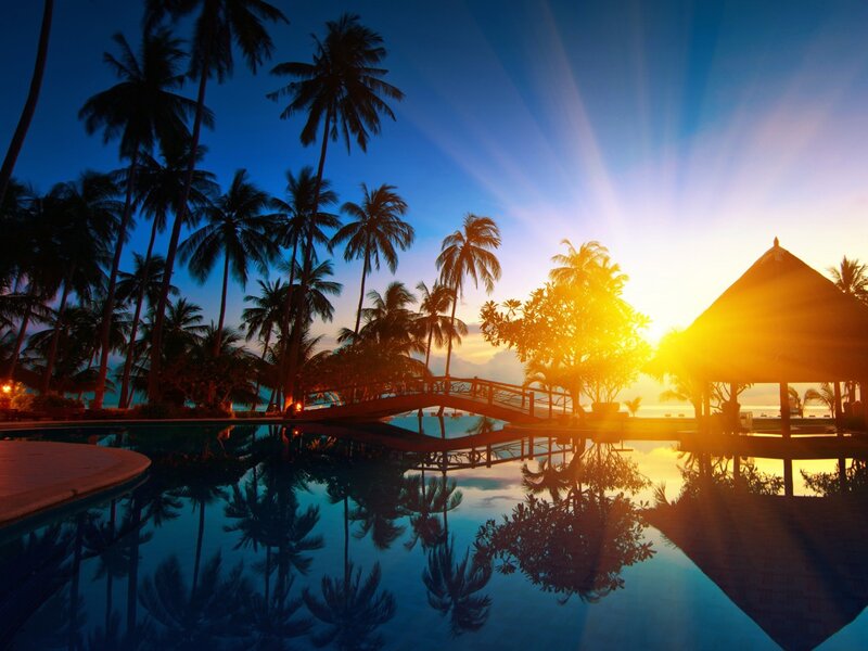 Palm Trees at Sunset — Blue, Serene, Photograph, Pool, Bridge, Tiki Hut
