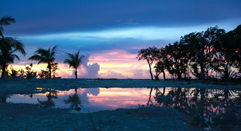 Palm Trees at Sunset — Blue, Serene, Photograph, Puddle