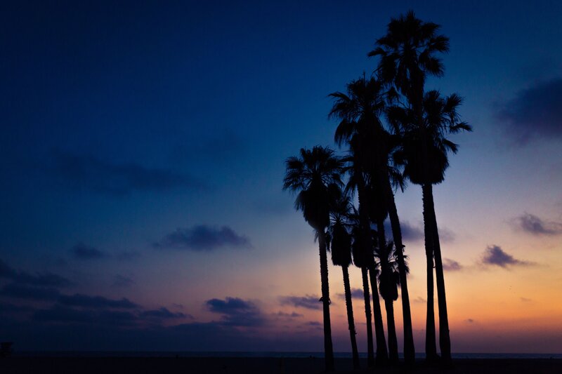 Palm Trees at Sunset — Blue, Serene, Photograph, Sky, Clouds