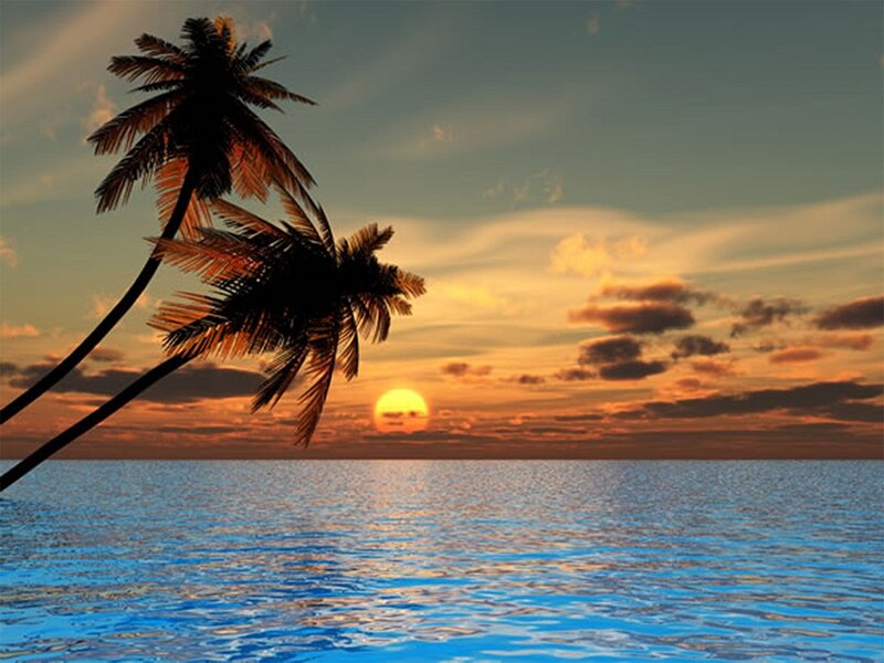 Palm Trees at Sunset — Blue, Serene, Photograph, Sun