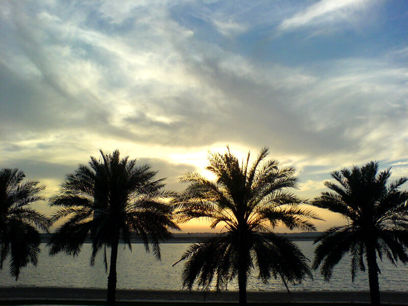 Palm Trees at Sunset — Blue, Serene, Photograph