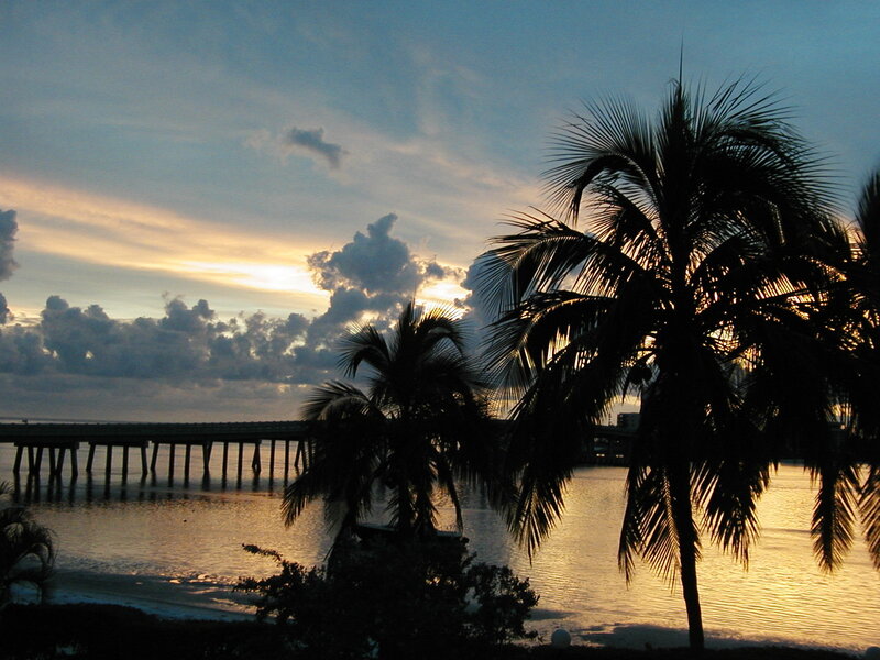 Palm Trees at Sunset — Blue, Serene