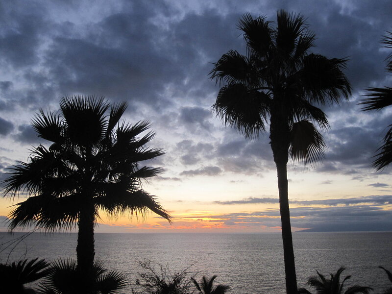 Palm Trees at Sunset — Blue