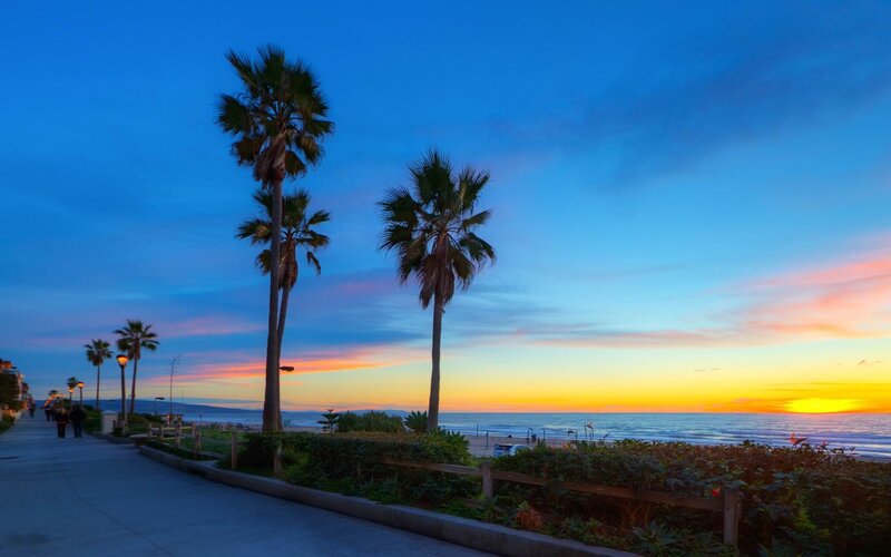 Palm trees at sunset by the ocean