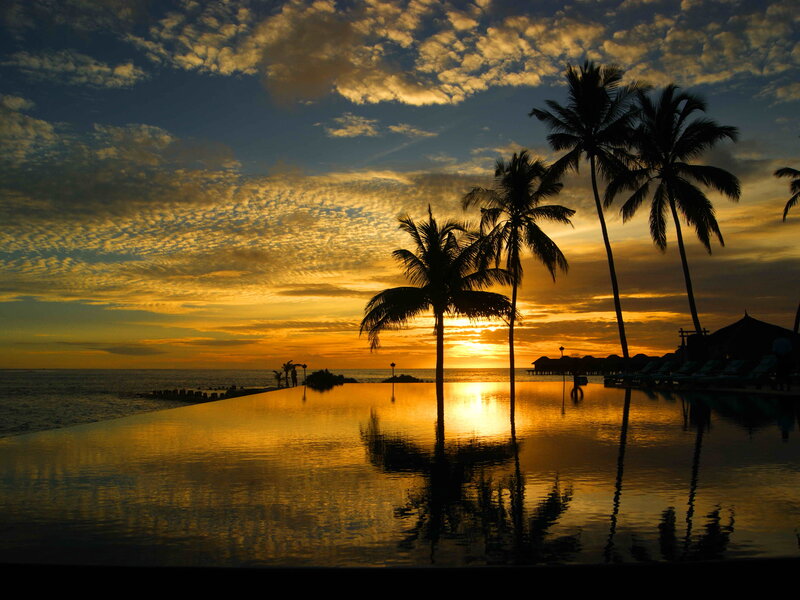 Palm Trees at Sunset — Gold, Serene, Photograph