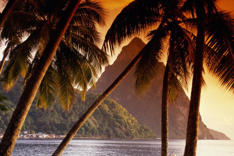 Palm trees at sunset in Saint Lucia