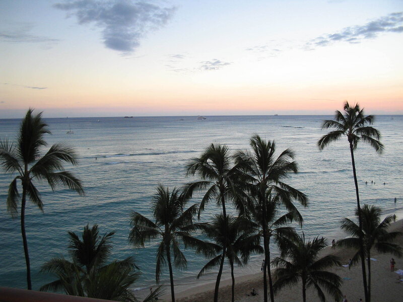 Palm trees at sunset on a beach