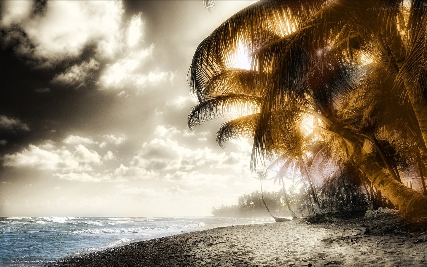 Palm trees at sunset on beach