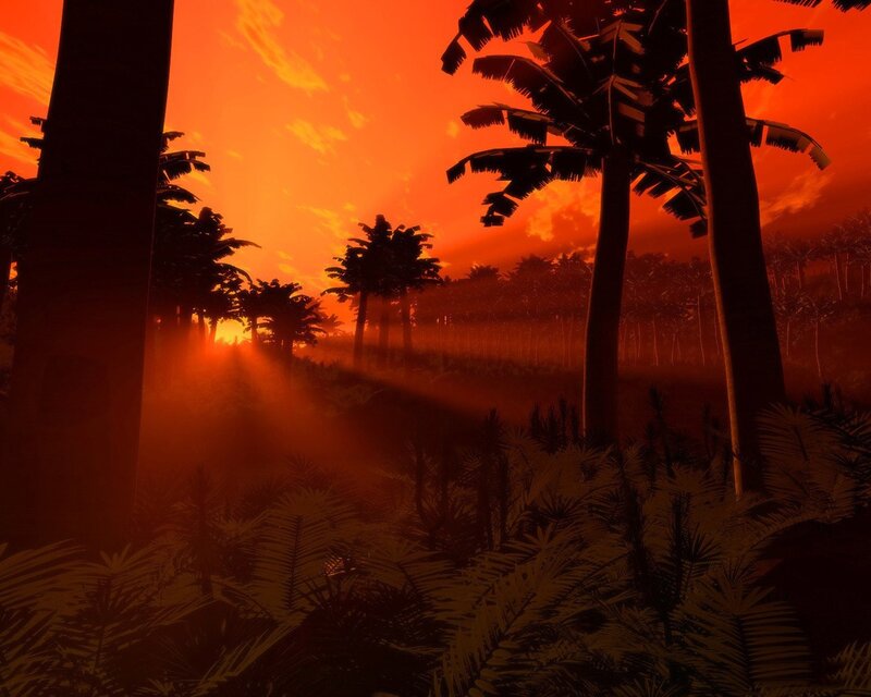 Palm Trees at Sunset — Orange, Dramatic, 3d Render