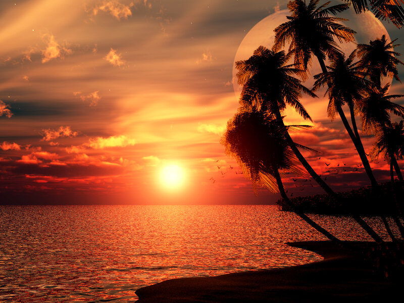 Palm Trees at Sunset — Orange, Dramatic, Digital Art, Sun