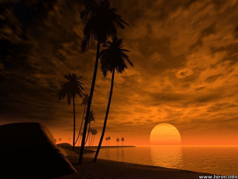 Palm Trees at Sunset — Orange, Dramatic, Digital Art